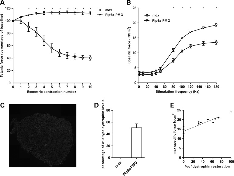 Figure 4.