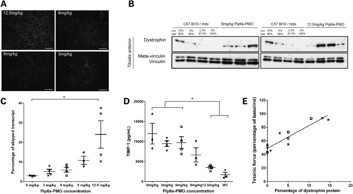 Figure 2.