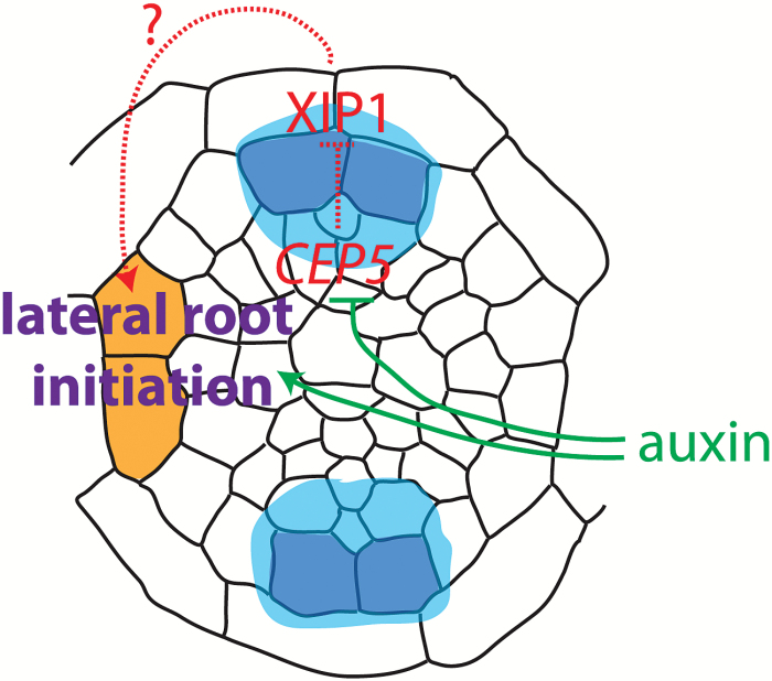 Fig. 9.