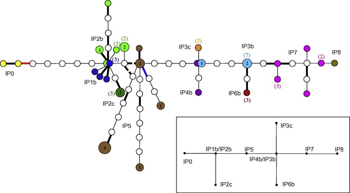 Fig. 2