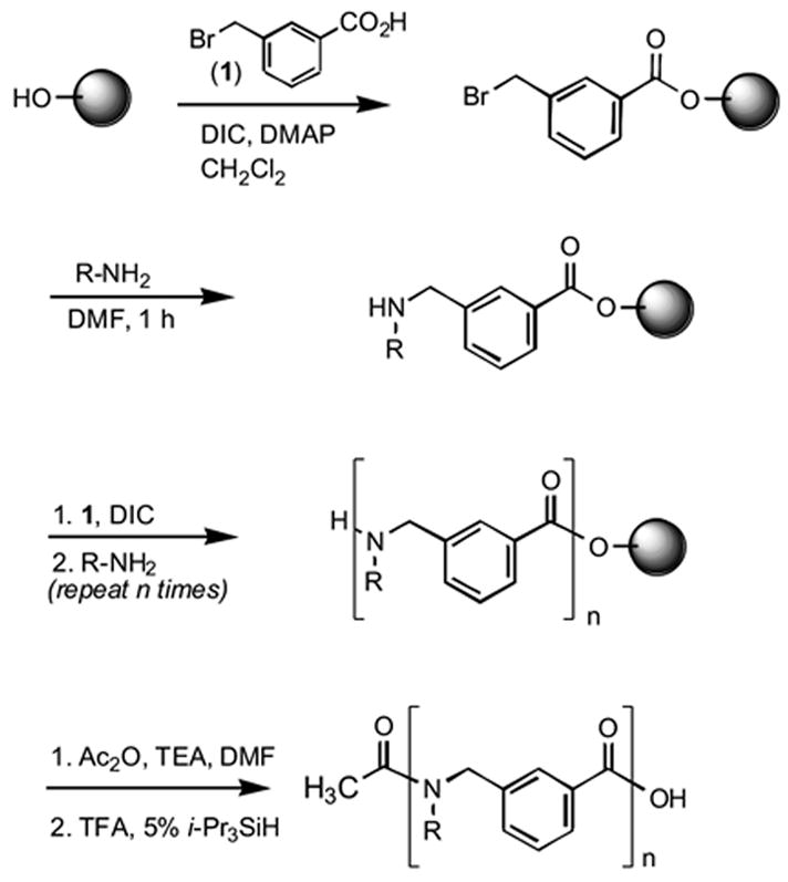 Scheme 1