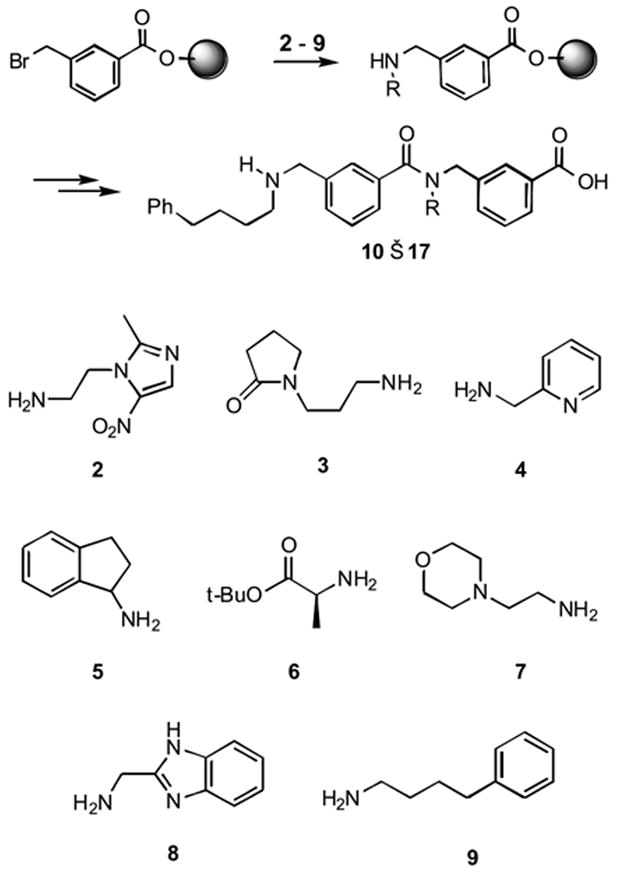 Scheme 2