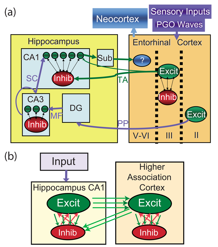 FIG. 1