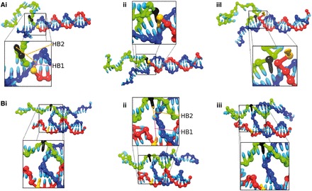 Figure 12.