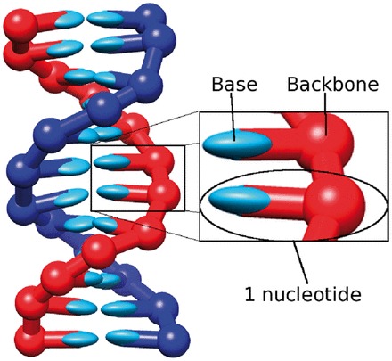 Figure 9.