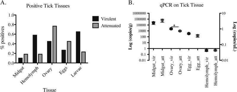 FIG 2