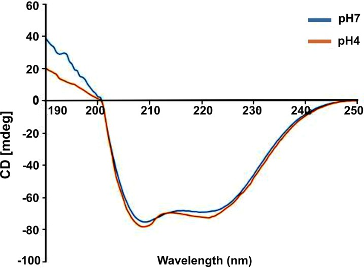 Fig 13