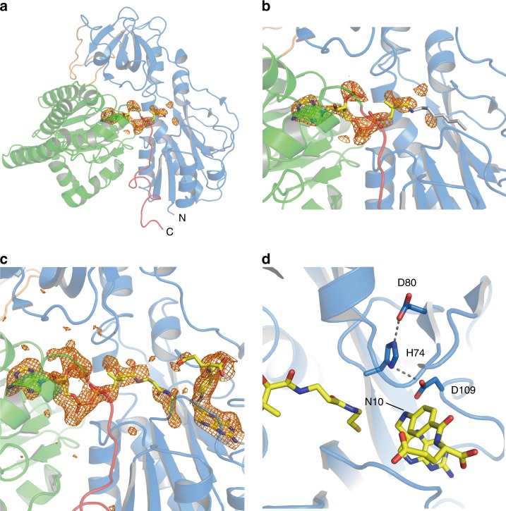 Fig. 7