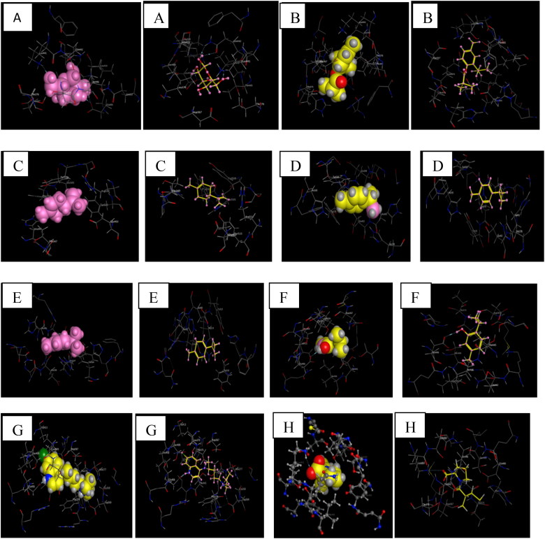 Figure 4.