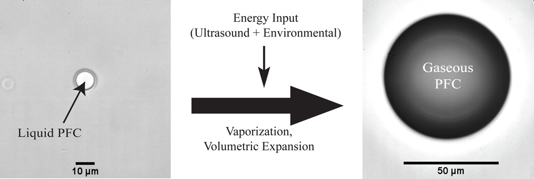 Fig. (1)