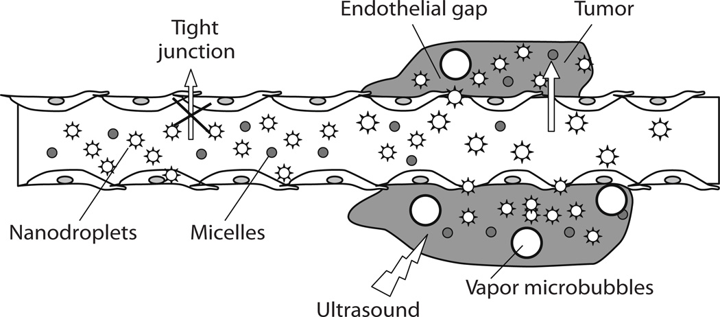 Fig. (5)