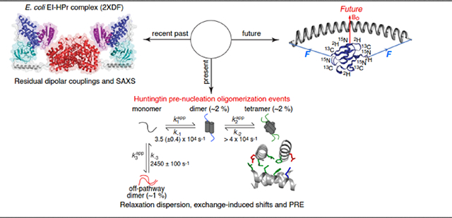 graphic file with name nihms-1534911-f0001.jpg