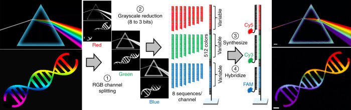 Fig. 2