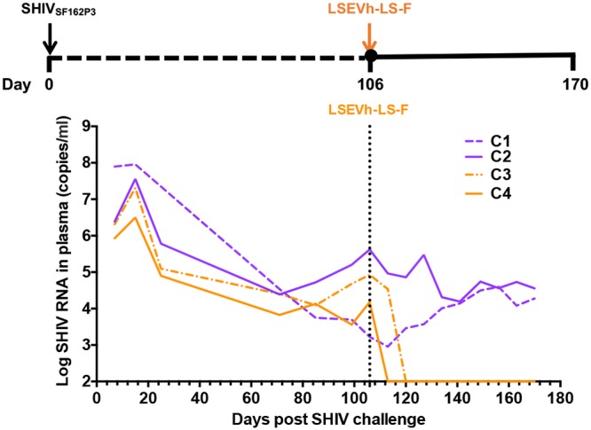 FIG 1