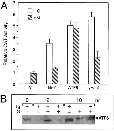 FIG. 10