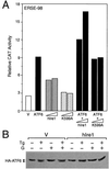 FIG. 11