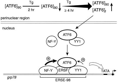 FIG. 13