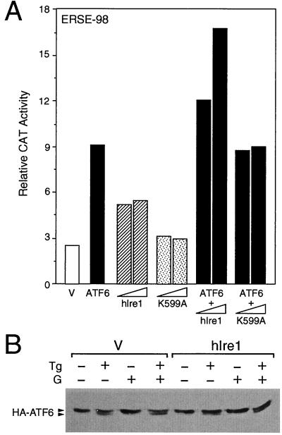 FIG. 11