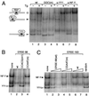 FIG. 6