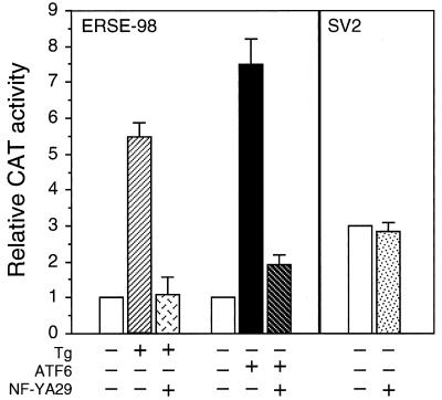 FIG. 7