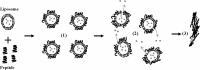Fig. 8