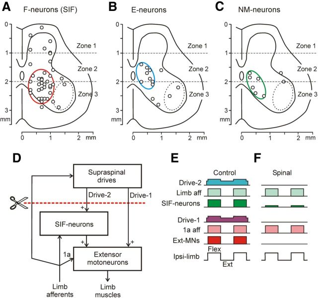 Figure 9.