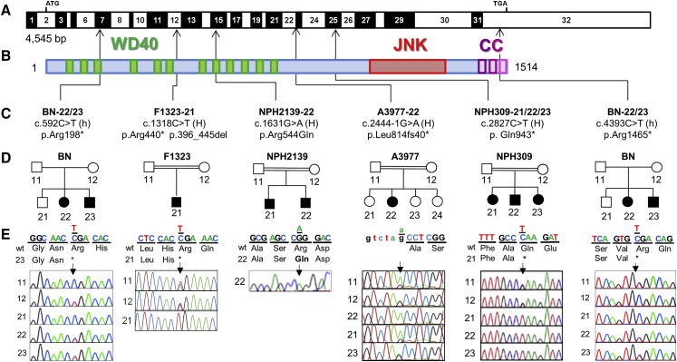 Figure 1