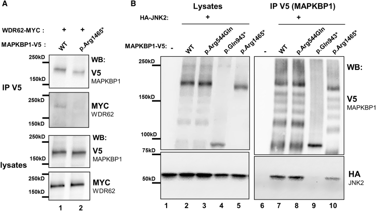 Figure 6