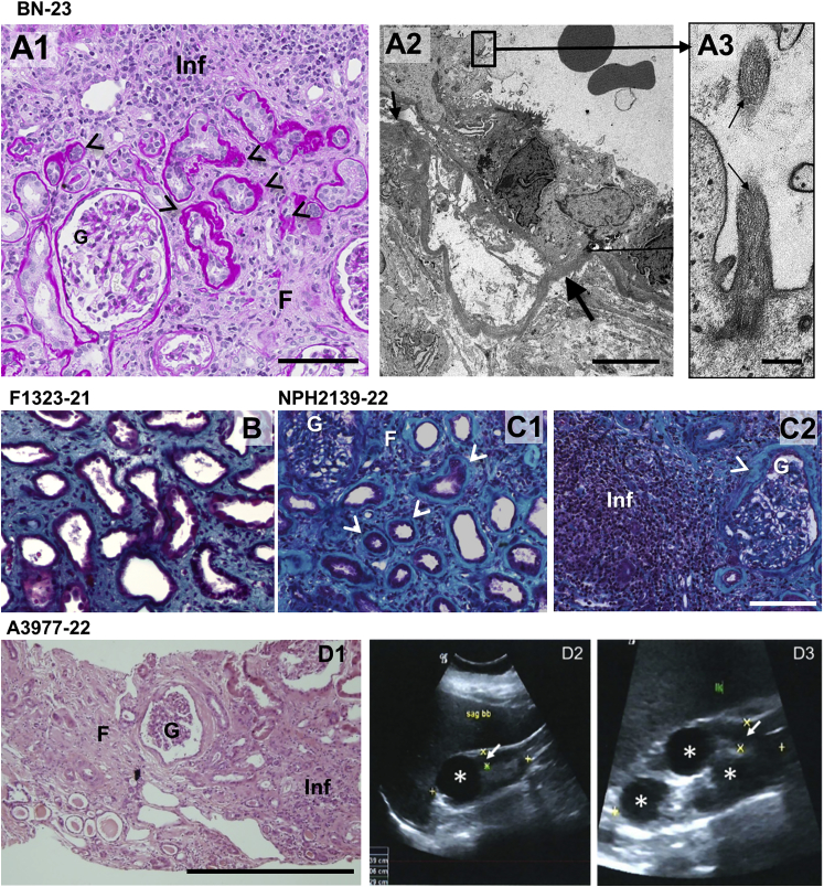 Figure 2