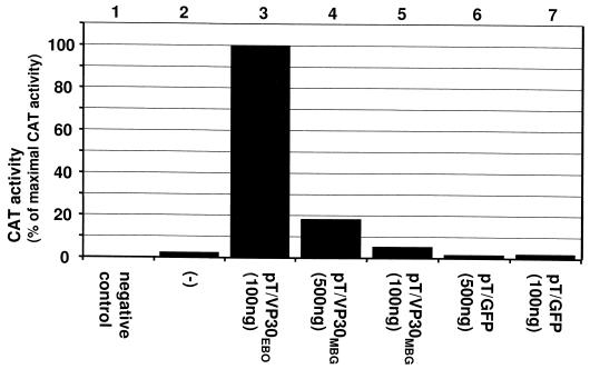 FIG. 6