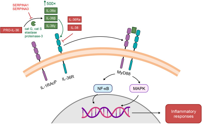 Figure 2