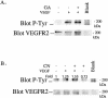Fig 5.