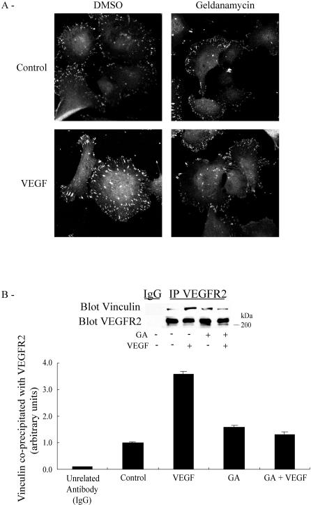 Fig 8.