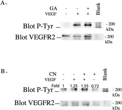 Fig 5.