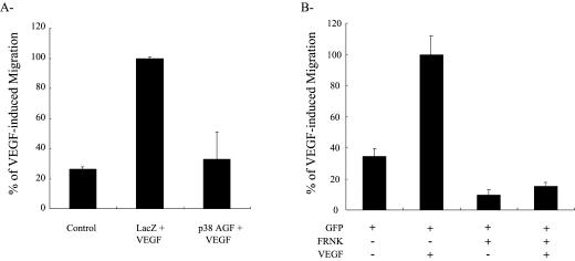 Fig 2.