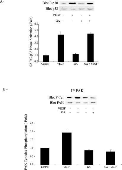 Fig 7.