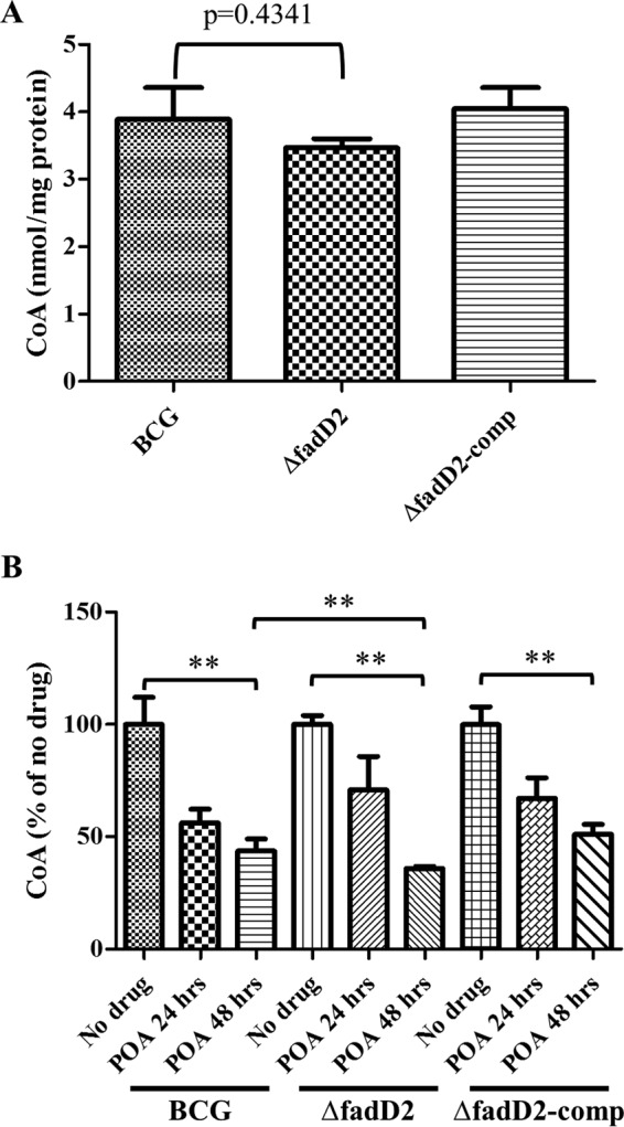 FIG 5