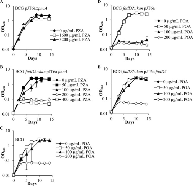 FIG 1