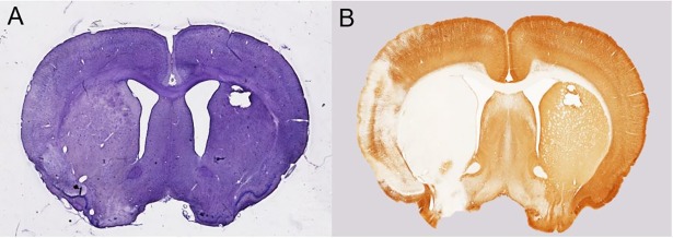 Fig 5