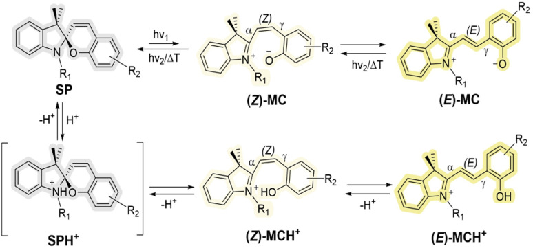 Scheme 1