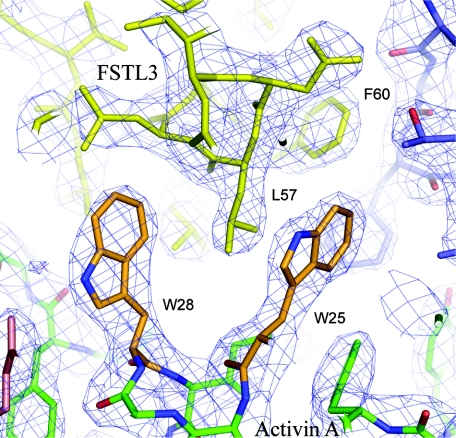 FIGURE 5.