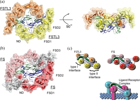 FIGURE 2.