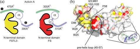 FIGURE 3.