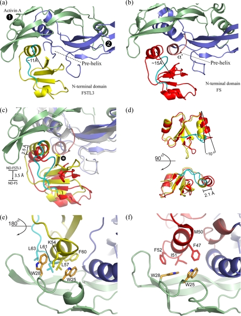 FIGURE 4.