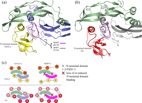 FIGURE 7.