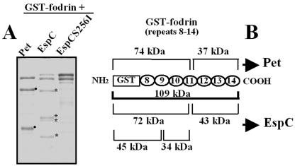 FIG. 8.