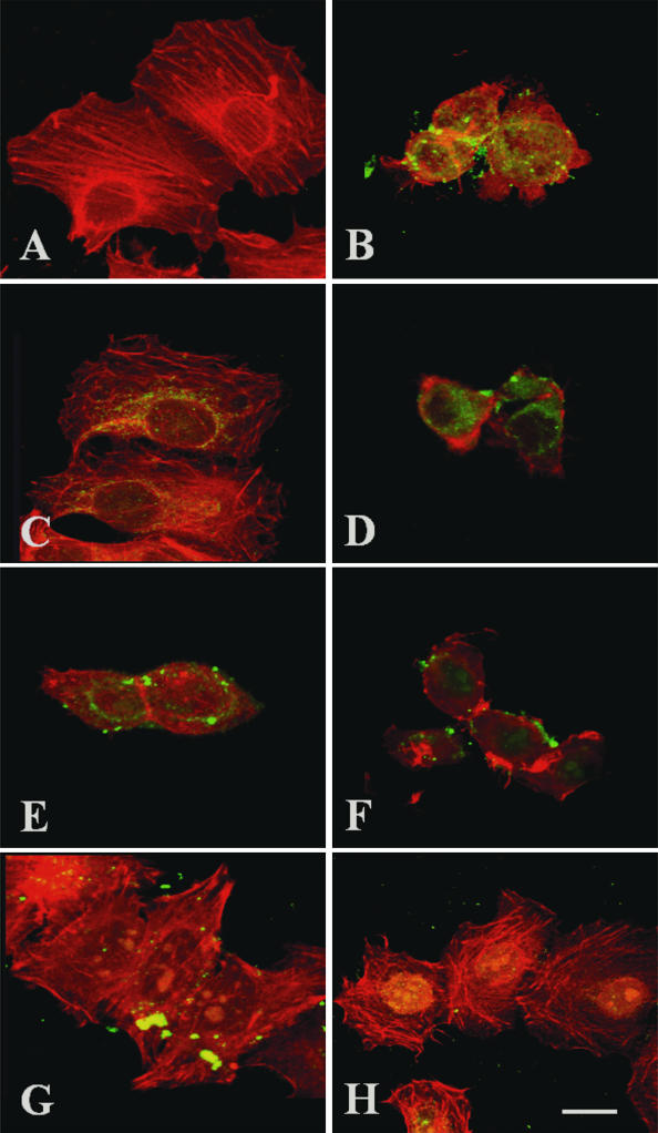 FIG. 9.