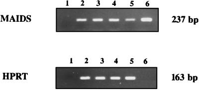 FIG. 6