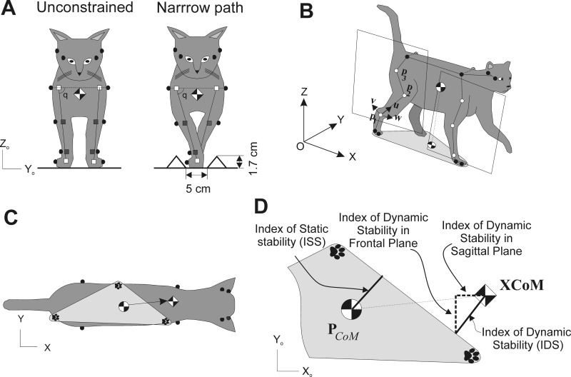 Fig. 1.