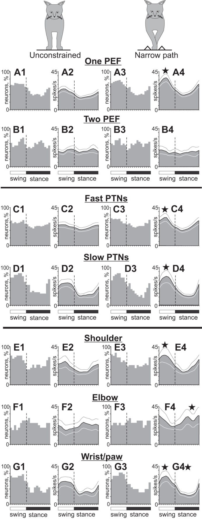 Fig. 10.